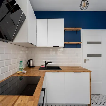 Apartment Rakowicka Elegant By Bookinghost Krakau